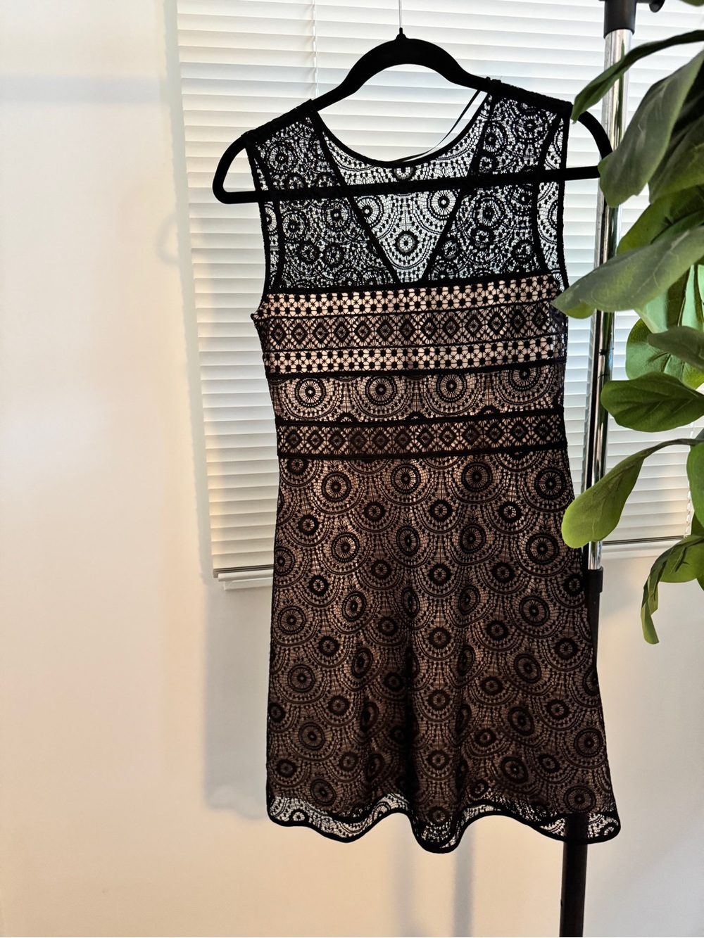 Zara Black Lace Dress with Nude Lining